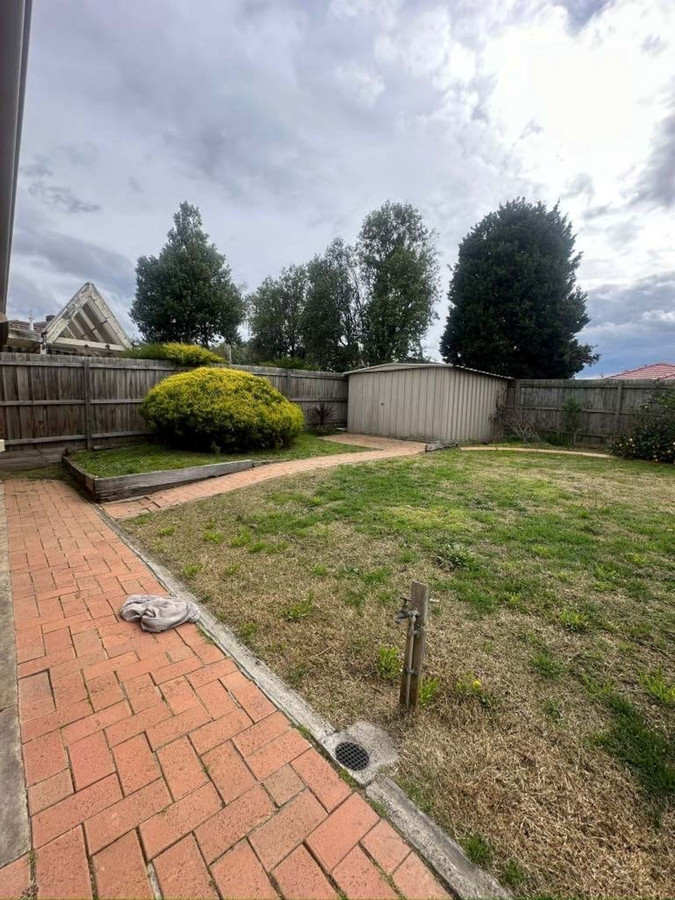 84aadc7a-b636-4e5a-a_25ed-bfca-d8cc-f64a-044d-18fc-fd3a-c10c_20250814120220